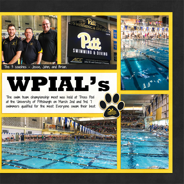 Swim Team Championship, right side