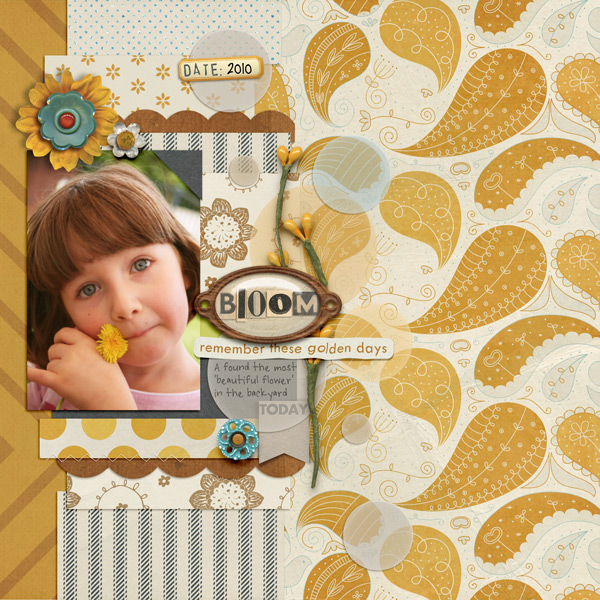 SWL Nov designer temp chall