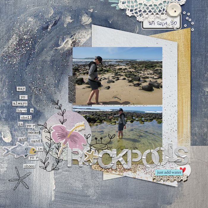 SWL-OctMIS-rockpools