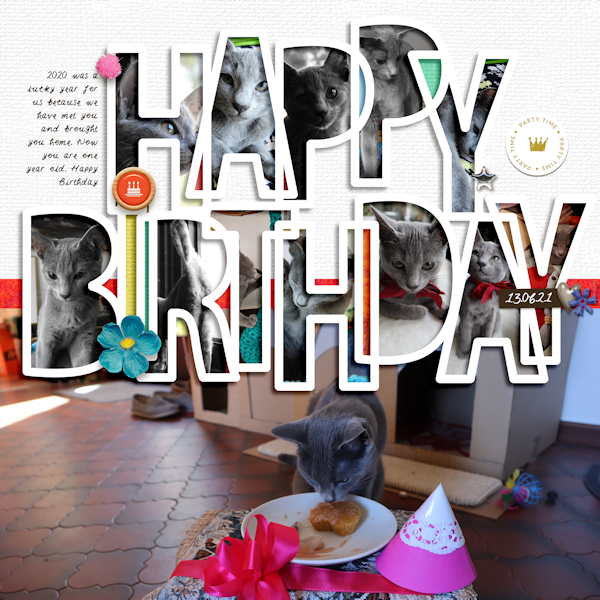 SwL_cat Bday