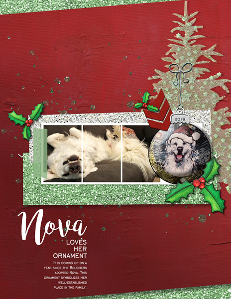 SWL_December Challenge_Nova-Ornament