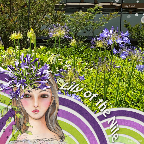 SwL_lilyofthenile