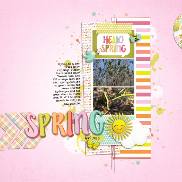 SwL_MBC_12_19Temp-KA-Springy