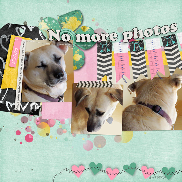SwL_nomorephotos