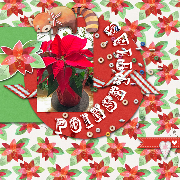 SwL_poinsettias