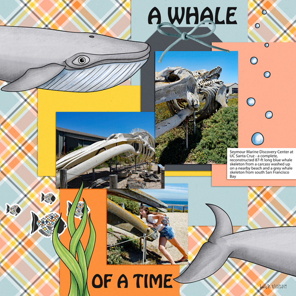 SwL_whaleofatime