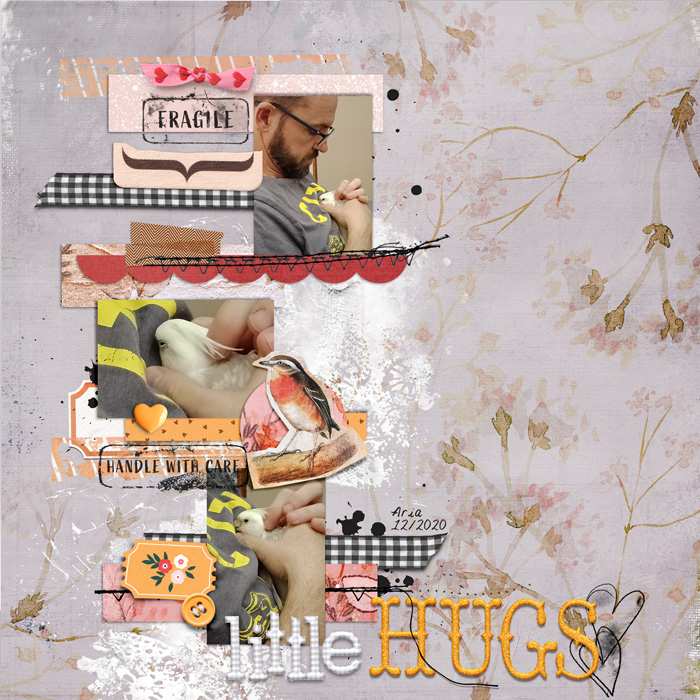 SwL's MIS feb22 - gentle hugs