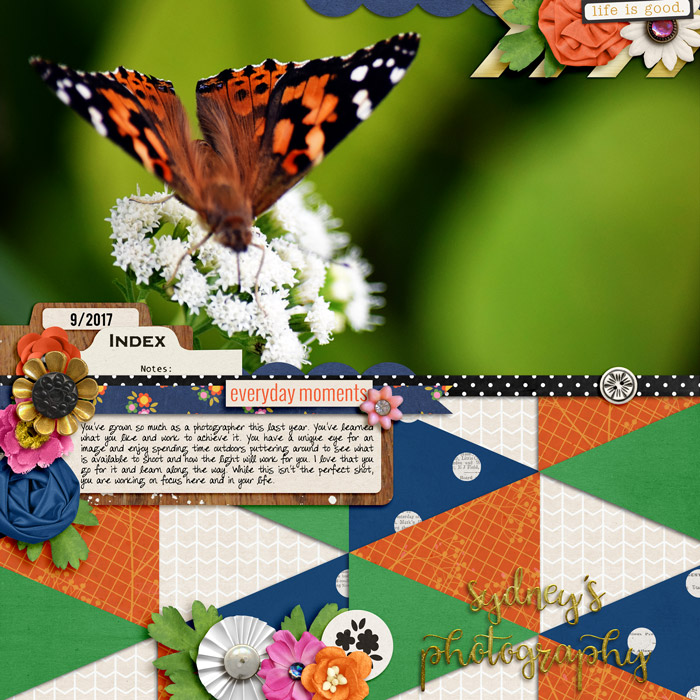 Sydney's Photography - MOC6 Day 16