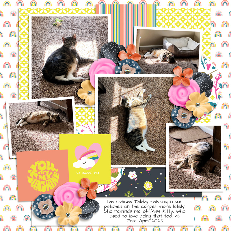 Tabby Sun Patch