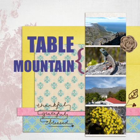 Table Mountain