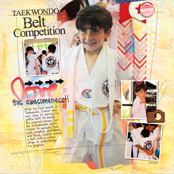 Taekwondo Belt