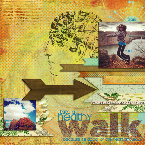 Take a Healthy Walk