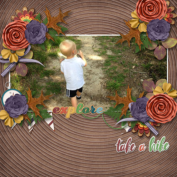 Take a Hike