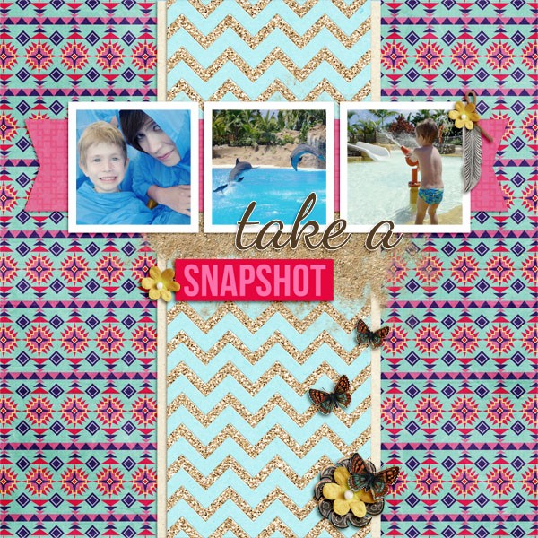 take a snapshot