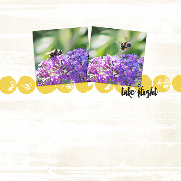 Take Flight