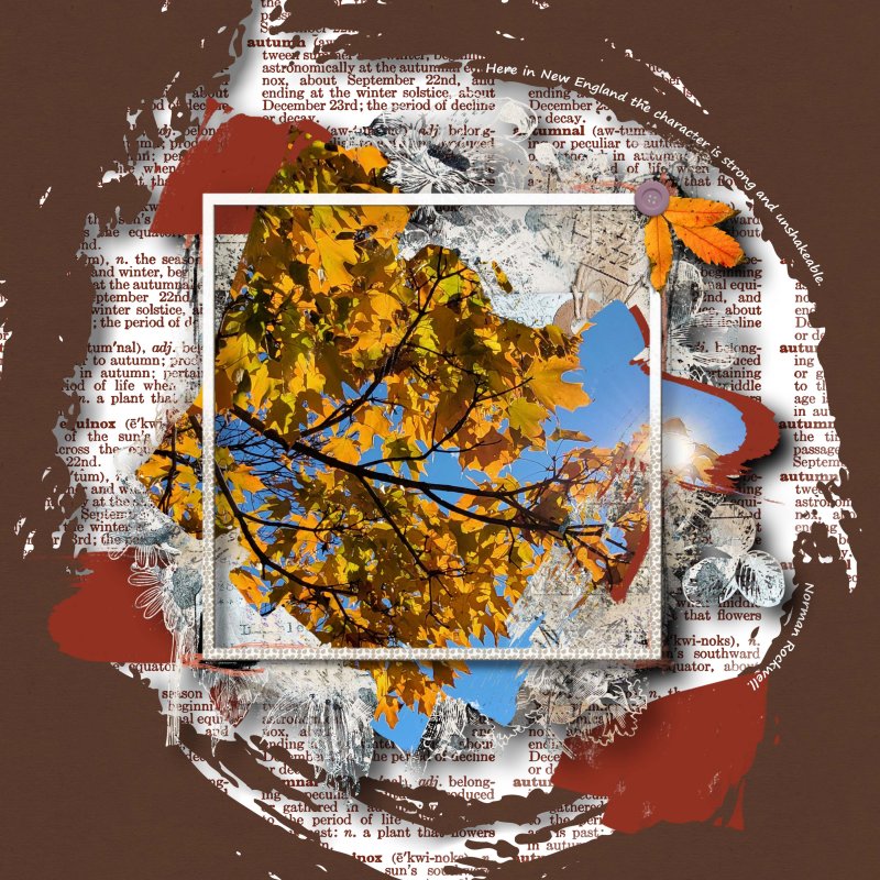Take Two Autumn In New England