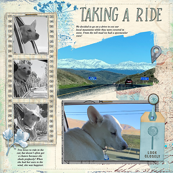 Taking-a-Ride