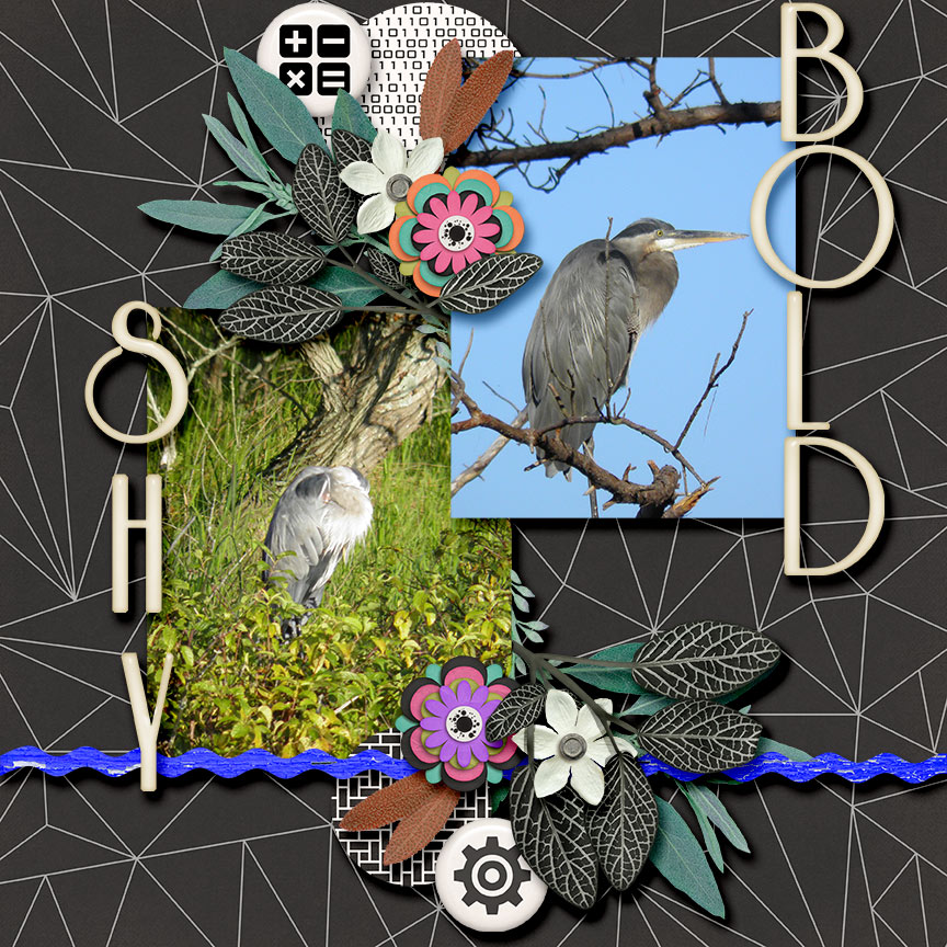 Tale of Two Herons