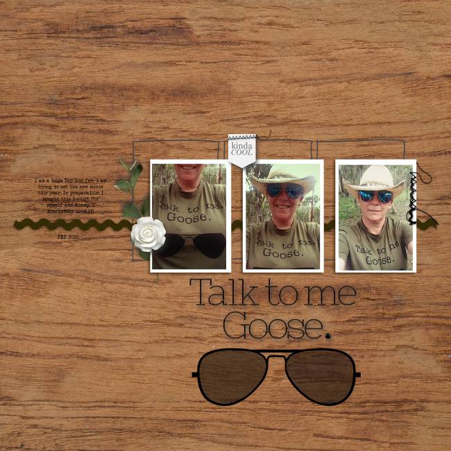 Talk-to-me-goose