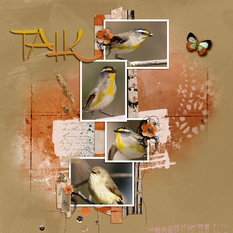 Talk