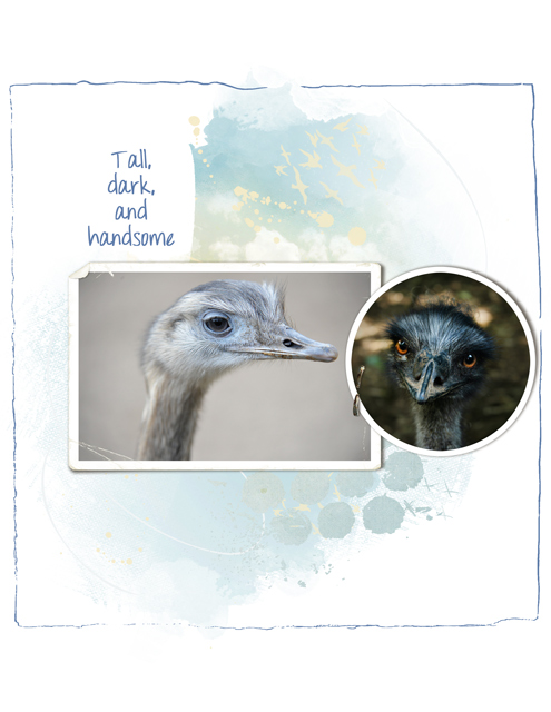Tall,-dark,-and-handsome