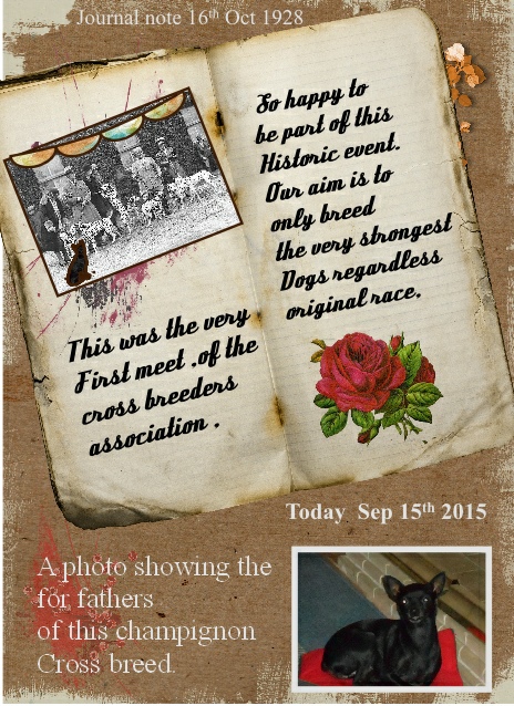 tall tale 1