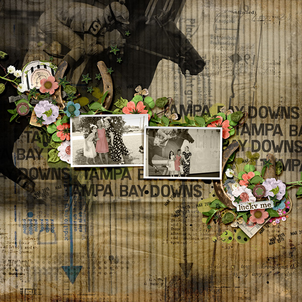 Tampa Bay Downs