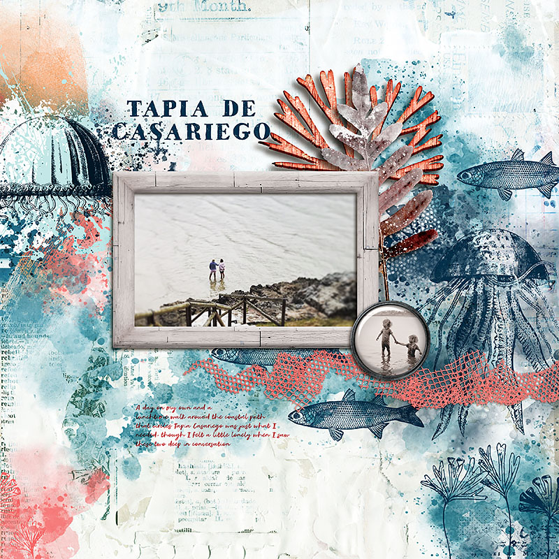 Tapia
