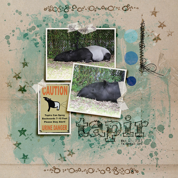 Tapir