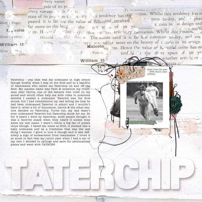 Taterchip