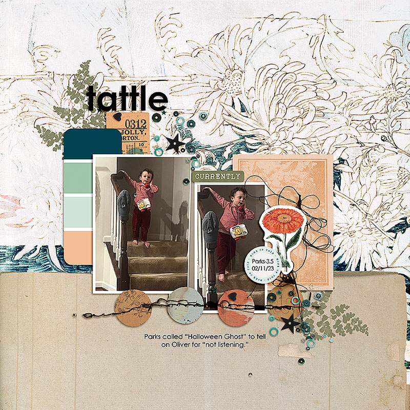 Tattle for FF 02/24