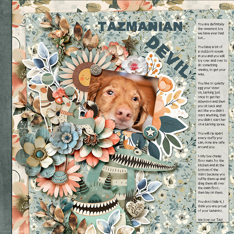 Tazmanian Devil