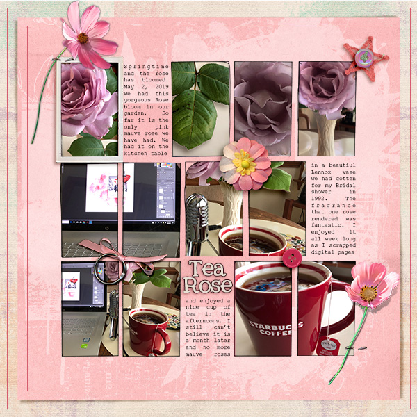 Tea Rose