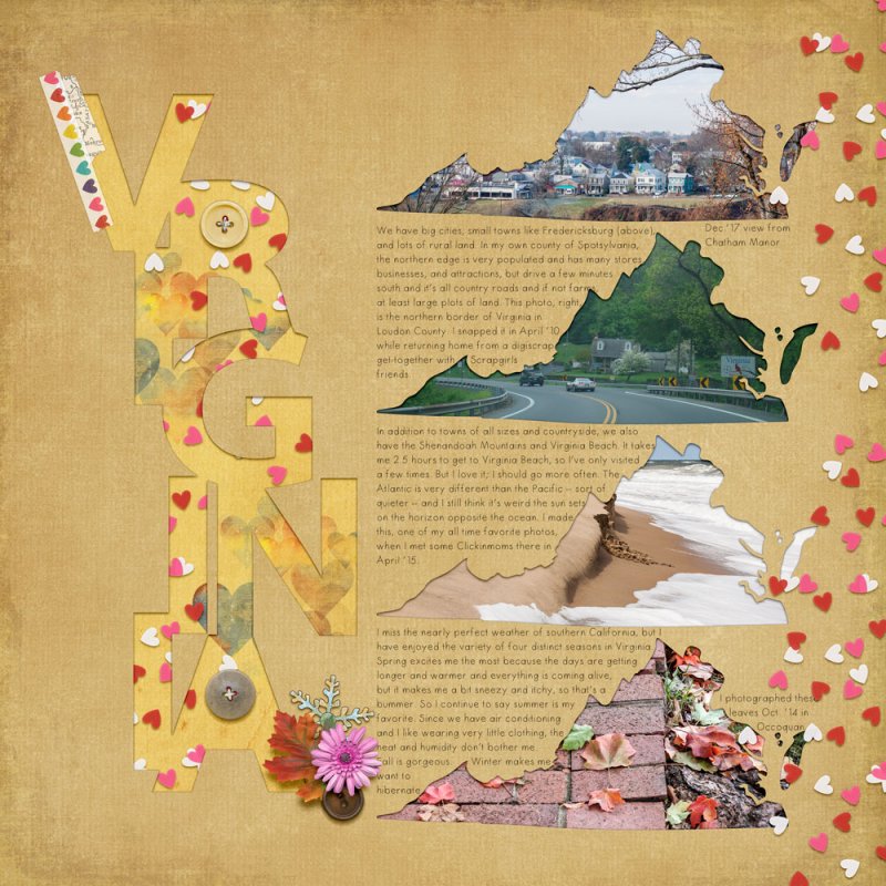 Tech ss - cutout - Virginia