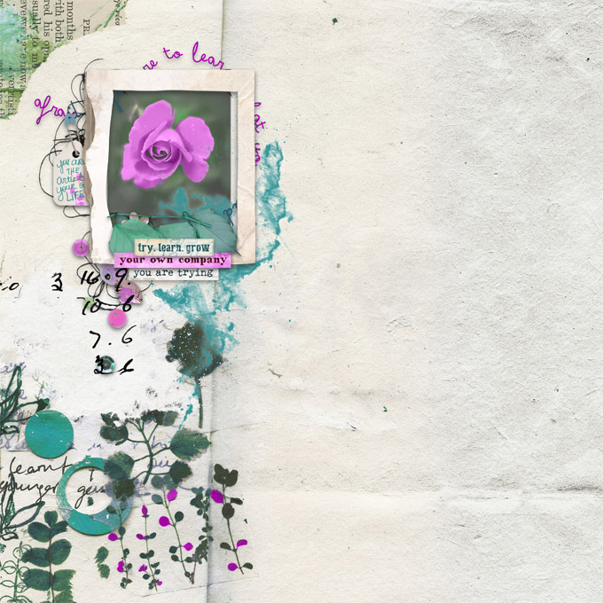 Technique Challenge|DSD 2021-October 2021-Blossoming