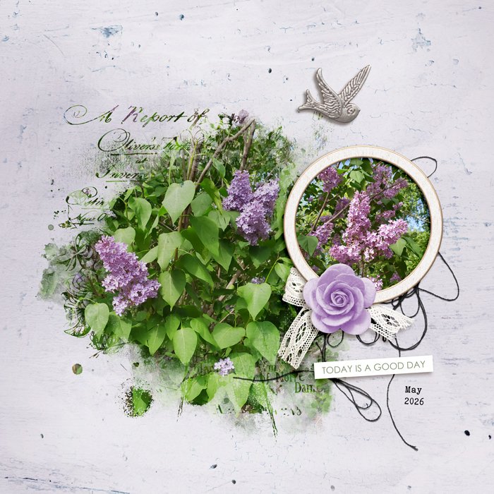 Technique Slow Scrap | June 17