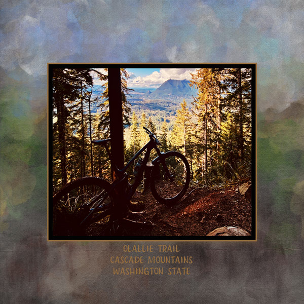 TechniqueChallenge-jk703Hosting_MtBiking_Ollalie-Trail