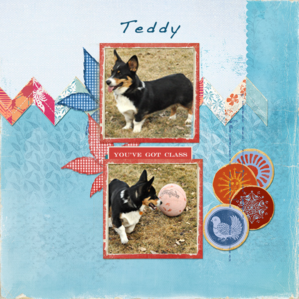 Teddy