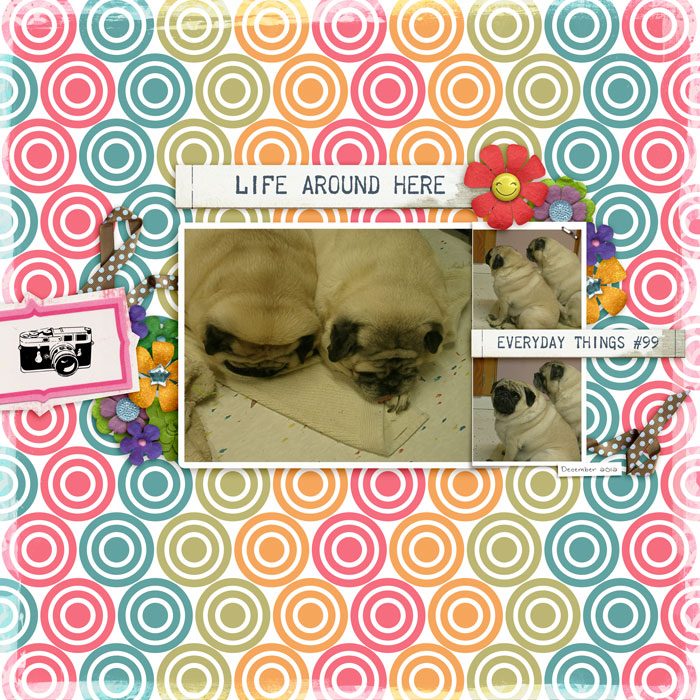 Temp-challenge-pugs-2012