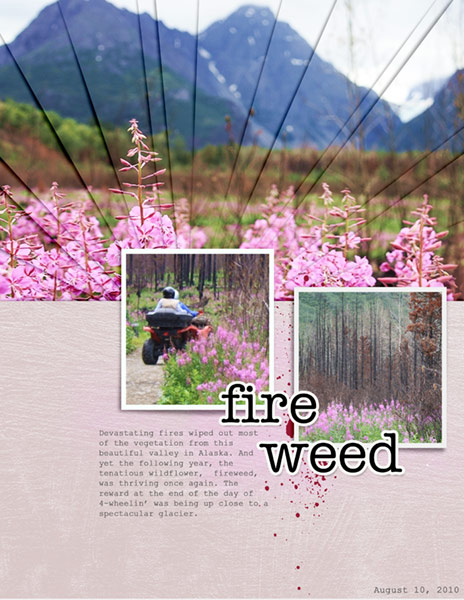 Template Challenge_Soco_03-2020_Fireweed