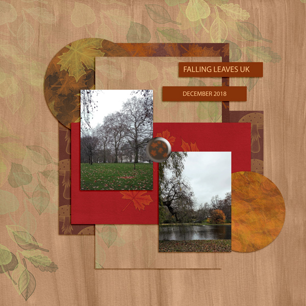 Template-Nov -Kate--Leaves-