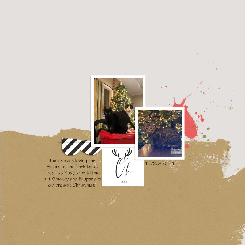 TemplateChall_Nov2021