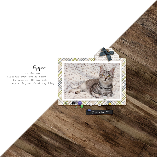 TemplateChall_Sep2020