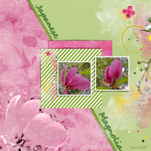 TemplateChallenge_japanesemagnolia