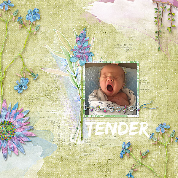 Tender