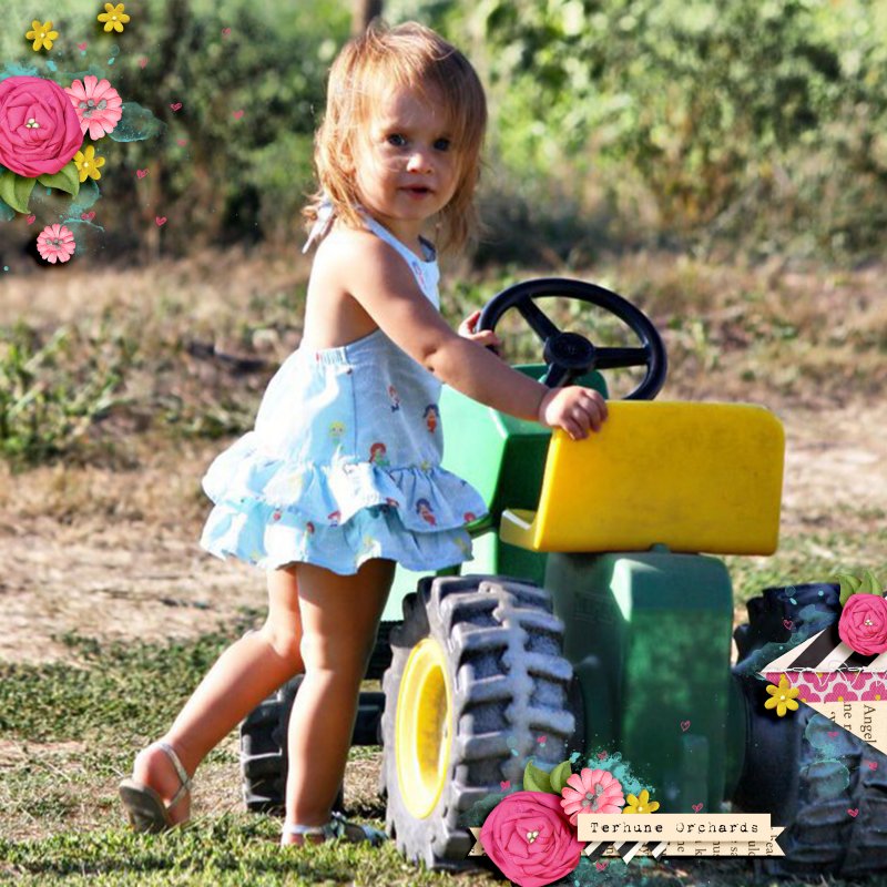 Terhune Farms Tractor Baby