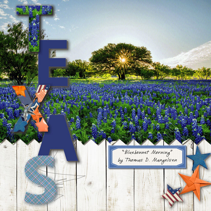 Texas-bluebonnets