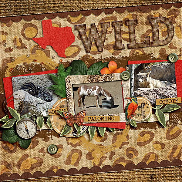 Texas Wild