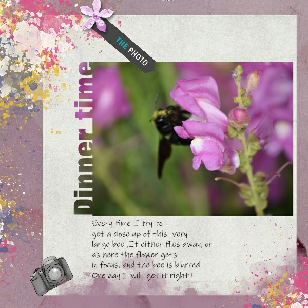 Text Of Photo  Day 12