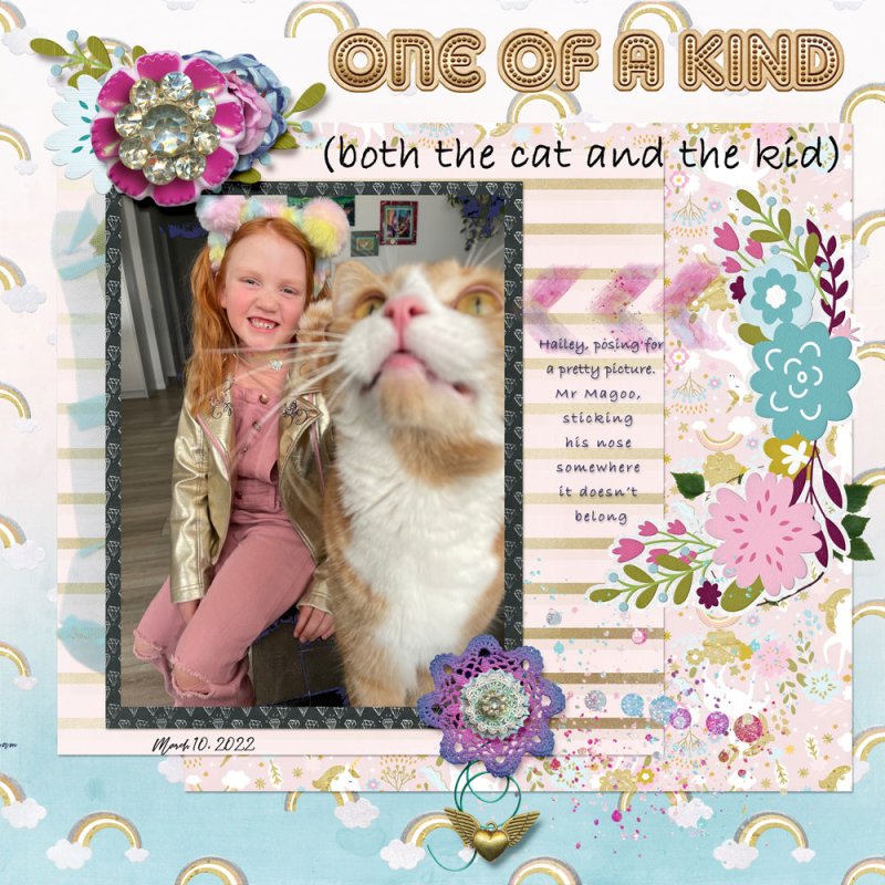 That Cat!